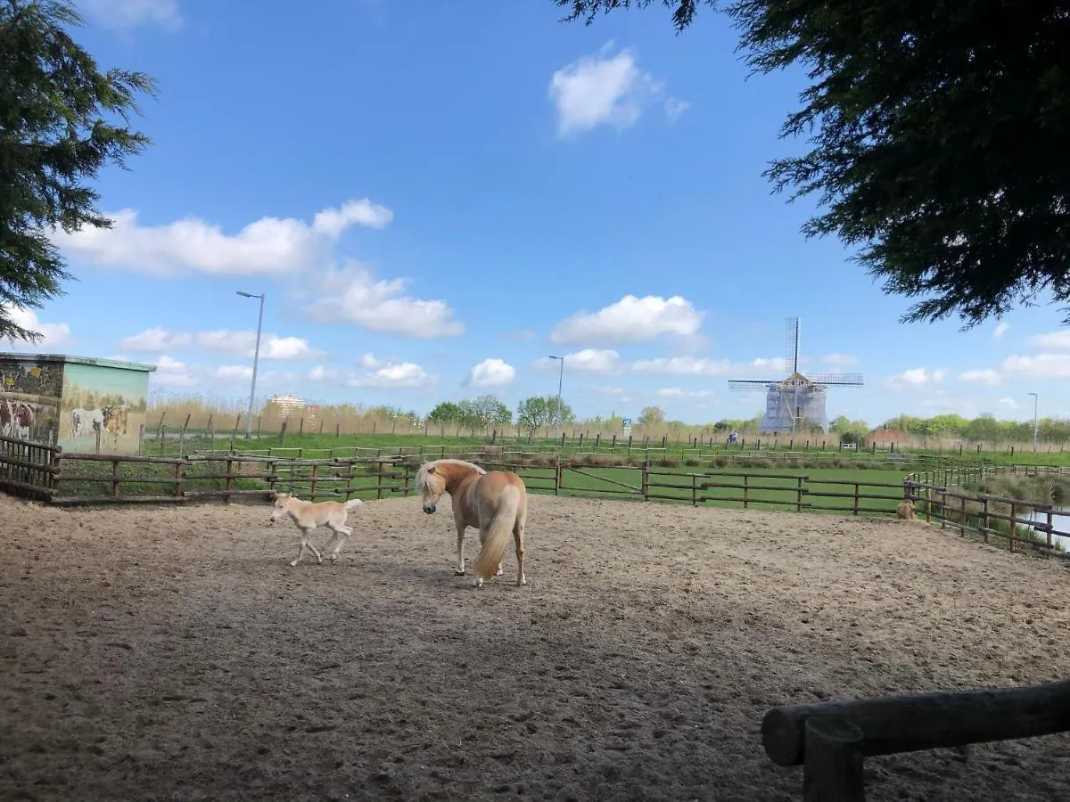 Chalet Aan De Rotte Rotterdam 0*,  Nizozemsko
